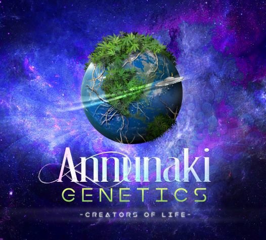 Annunaki-logo-earth.jpg.ca7e3709109094d425fff31b67fe4e2f.jpg